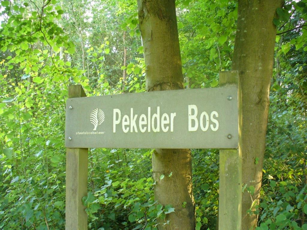 B&B De Wiekeborg Oude Pekela 外观 照片